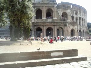 1044413_674639979276380_128030267863789500_n